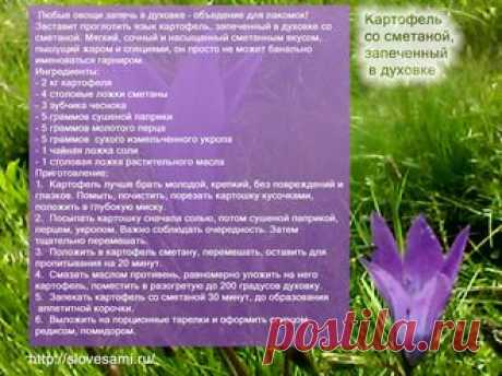 Рецепты - Картофель со сметаной, запеченный в духовке