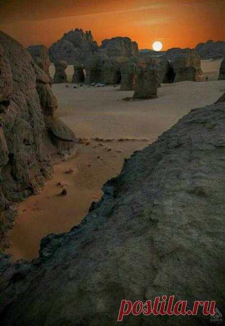 c est la vie Hogar algeria