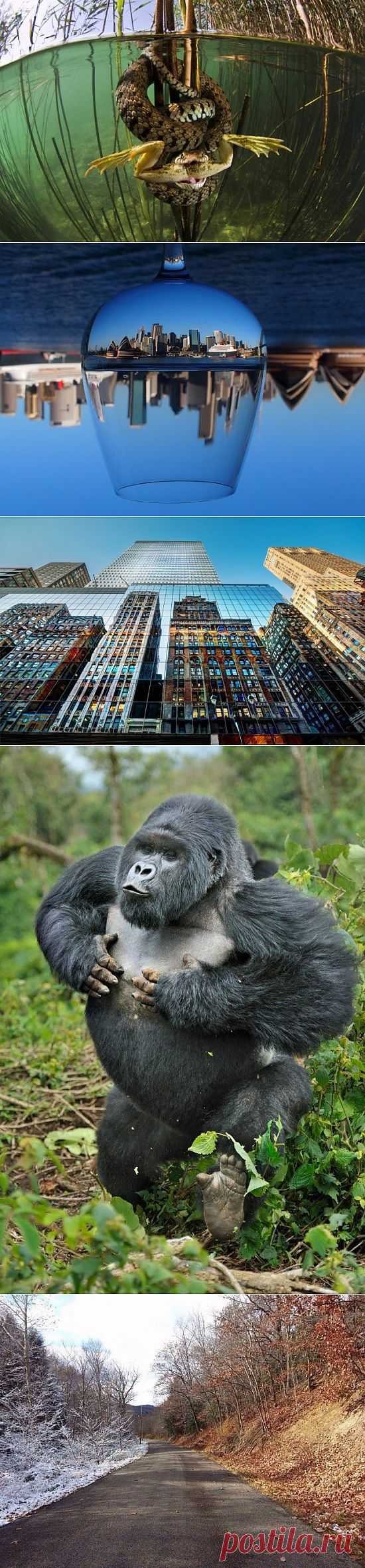 Мир без фотошопа. Новое / Всё самое лучшее из интернета