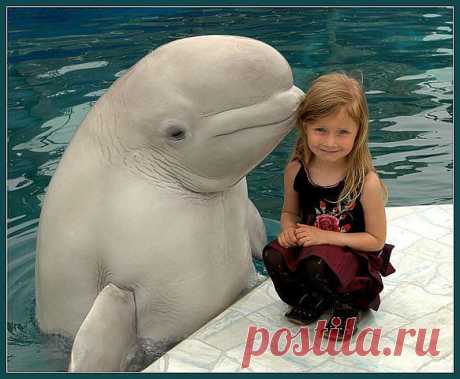 ♥ღஐ♥ ПОЗИТИФФФЧИК ♥ღஐ♥