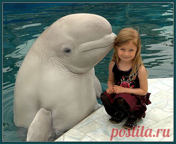♥ღஐ♥ ПОЗИТИФФФЧИК ♥ღஐ♥