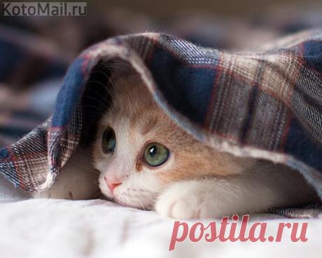 Мне не хватает лета...