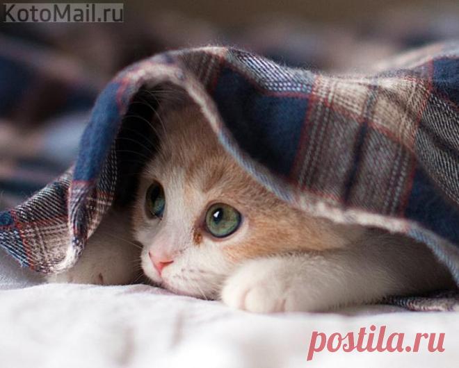 Мне не хватает лета...