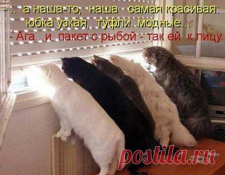 Одноклассники