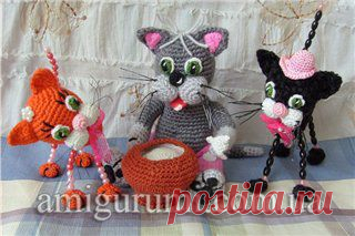 Кот Обормот и кошечки