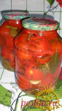 Кулинарный блокнотик для дочери - Соления и маринады - Соленые помидоры