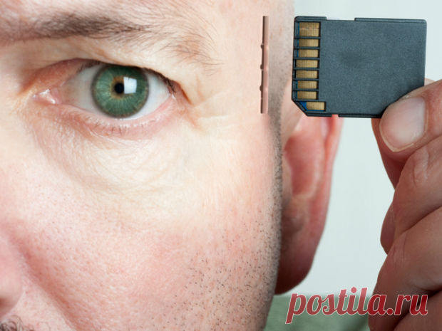 Любопытные факты о памяти человека | LivePosts — последние новости, полезные статьи, обзоры