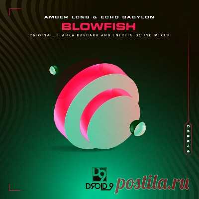 Amber Long & Echo Babylon – Blowfish - FLAC Music
