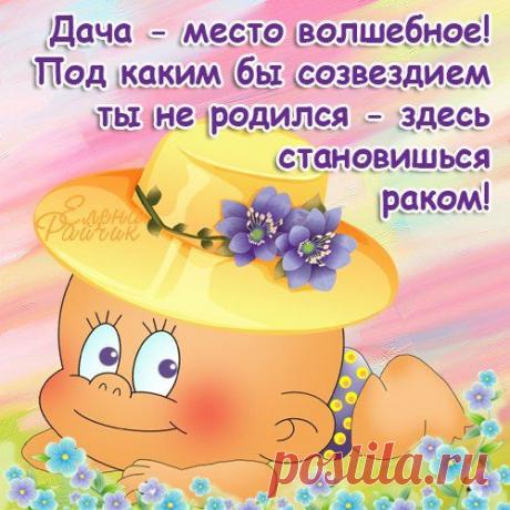 Стихи про дачу | Самоцветик