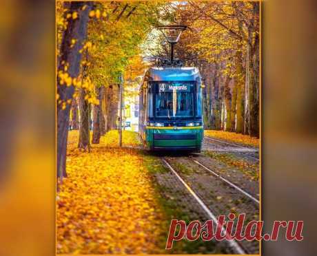 🍂 Что такое осень - это ветер
Вновь играет рваными цепями.
Осень, доползём ли,
Долетим ли до ответа
Что же будет с Родиной и с нами...

© ДДТ Осень" 
#день_в_истории #осень #ДДТ #стихи #группа_ДДТ
19 октября 2019 г. на рок-фестивале «Киловатты рока» ДДТ выступит на одной сцене с группой «Сплин»
19 октября на фестивале "Киловатты РОКА" состоится встреча участников фестиваля из разных городов России.
Концерт посвящен дню рождения рок-группы ДДТ.

