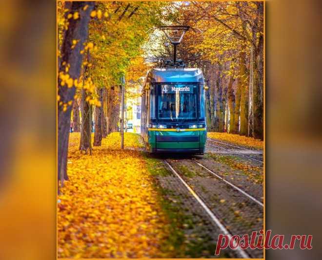 🍂 Что такое осень - это ветер
Вновь играет рваными цепями.
Осень, доползём ли,
Долетим ли до ответа
Что же будет с Родиной и с нами...

© ДДТ Осень