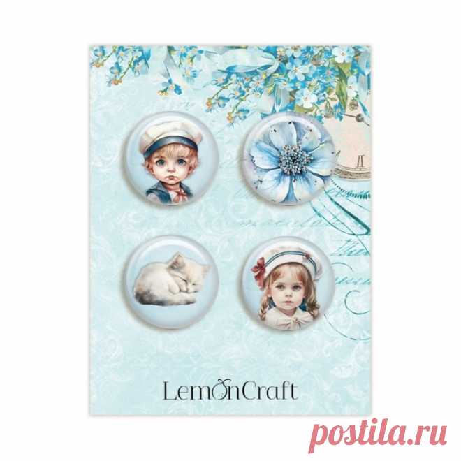 7rCntzOCNjo.jpg (734×734)