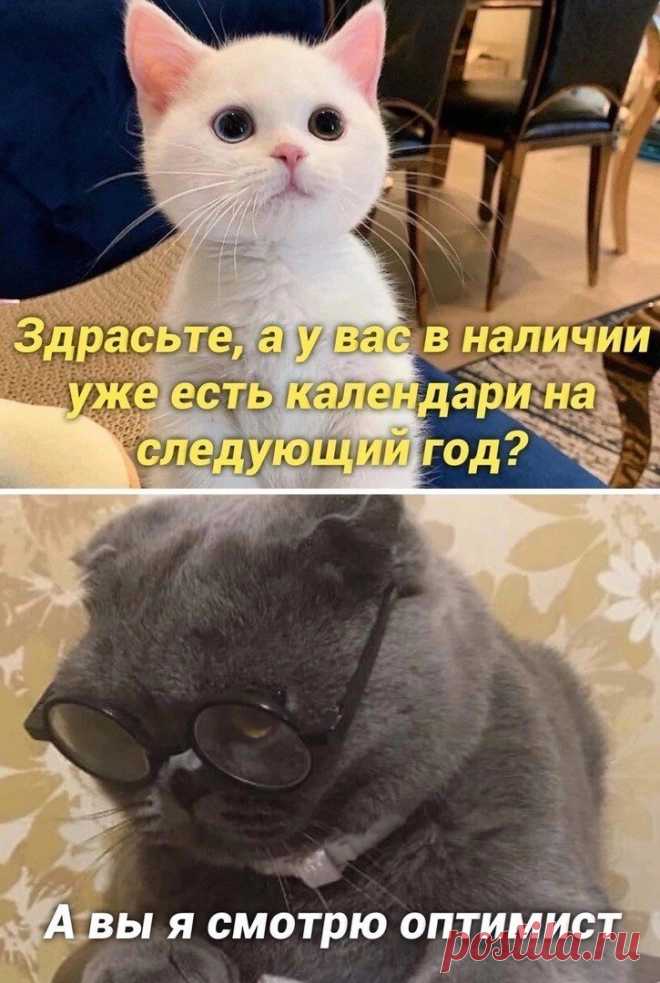 живи как будто ты бессмертный 
купи красивый календарь 
и планы строй на пятилетку 
как встарь