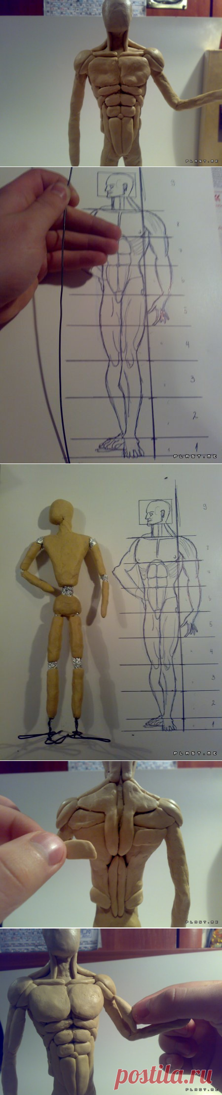 Урок лепки мышц - ЧАСТЬ 1 | Пластилиновые мультфильмы и комиксы