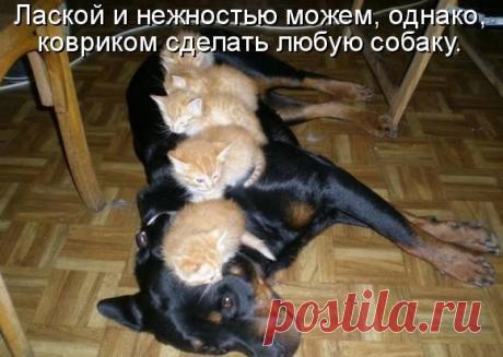 Лилия Советкина | ВКонтакте