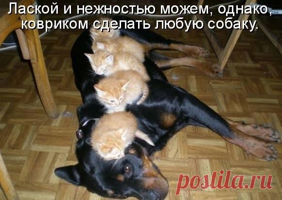 Лилия Советкина | ВКонтакте