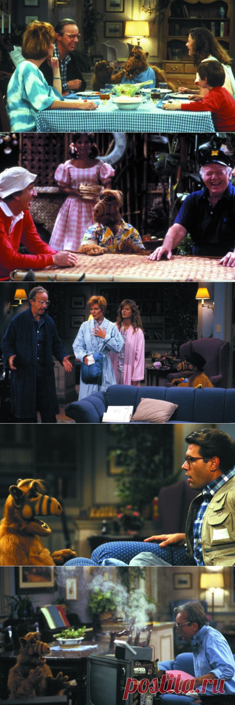 Кто такой Альф? Культовый сериал 80-х может получить продолжение | Культура