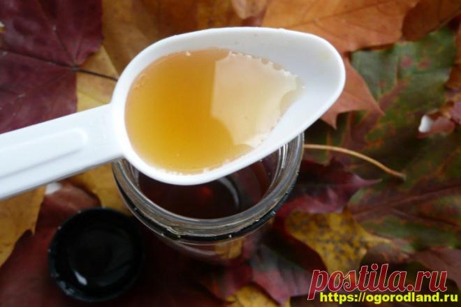 Приготовьте сироп от кашля и простуды