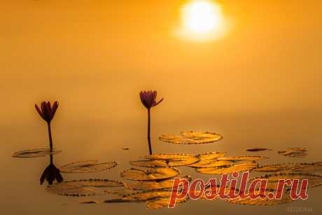 500px / Без названия на Songsak Aeiddam