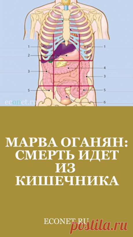 Марва Оганян: Смерть идет из кишечника

Марва Вагаршаковна Оганян - врач-натуропат, биохимик с 45-летним стажем медицинской лечебной и лабораторной работы. Она охотно делиться своими знаниями и методами с теми, кто хочет качественно улучшить свое здоровье и свою жизнь.