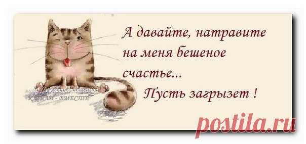 ОБРАЗ ЖИЗНИ|психология,отношения,общество|цитаты | ВКонтакте