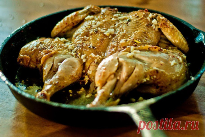 Записки мясника - Цыпленок жареный, цыпленок пареный