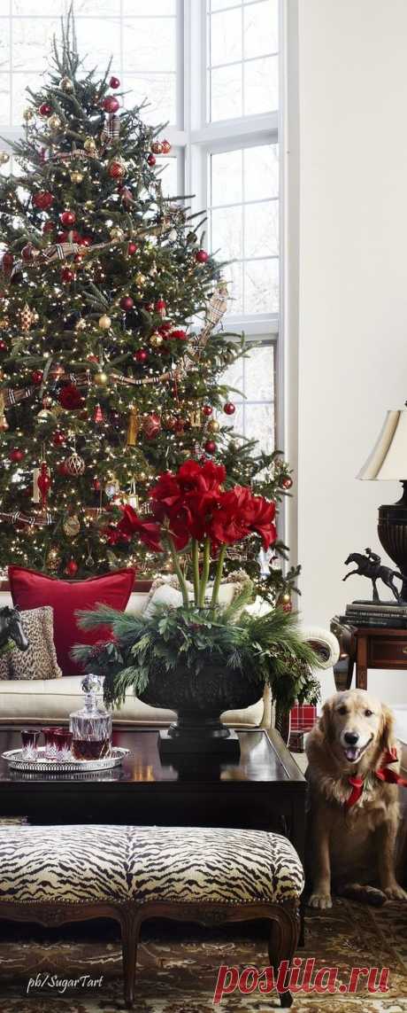 https://ru.pinterest.com/techgirl1977/christmas-trees/?utm_campaign=bprecs&amp;e_t=5cb452d6ce204a8ebe66ae23afc6df5b&amp;utm_content=44543552503531150&amp;utm_source=31&amp;utm_term=4&amp;utm_medium=2004