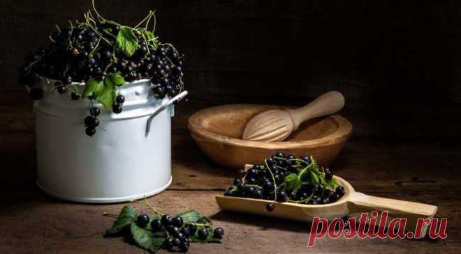 Наши суперфуды: гречка, облепиха, шиповник и ещё 5 альтернатив чиа и киноа