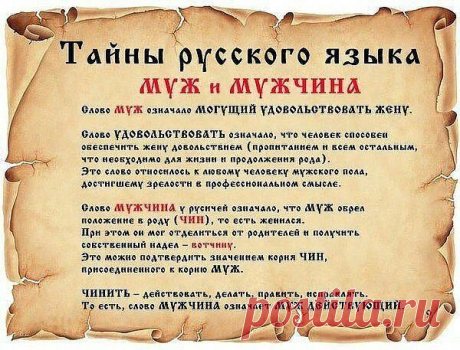 (4) Одноклассники