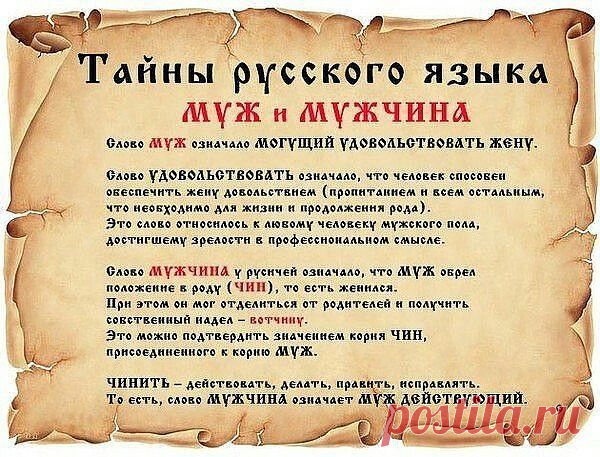 (4) Одноклассники