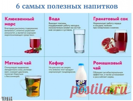 #чердак_познавательный_журнал