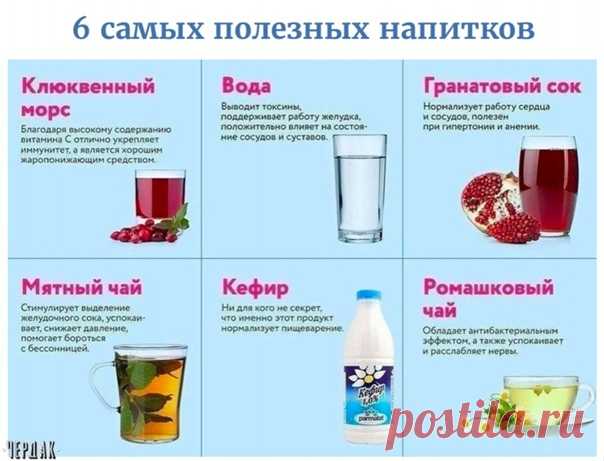 #чердак_познавательный_журнал