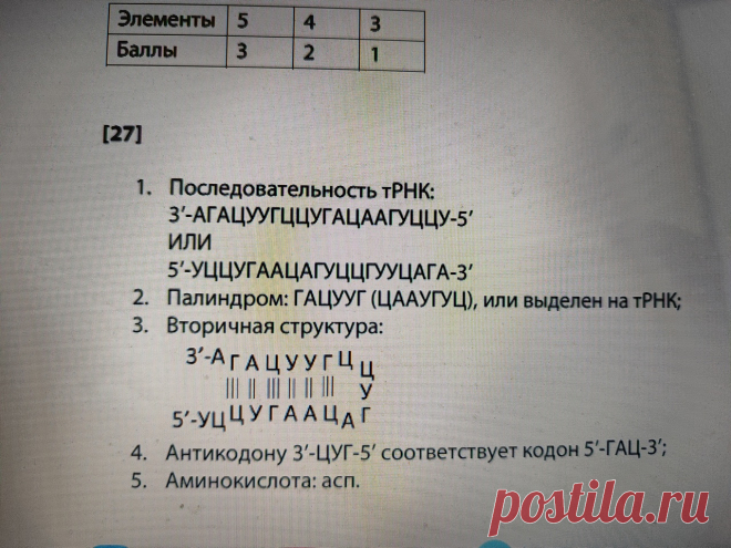 P1Xgckr2uOg.jpg (1280×960)