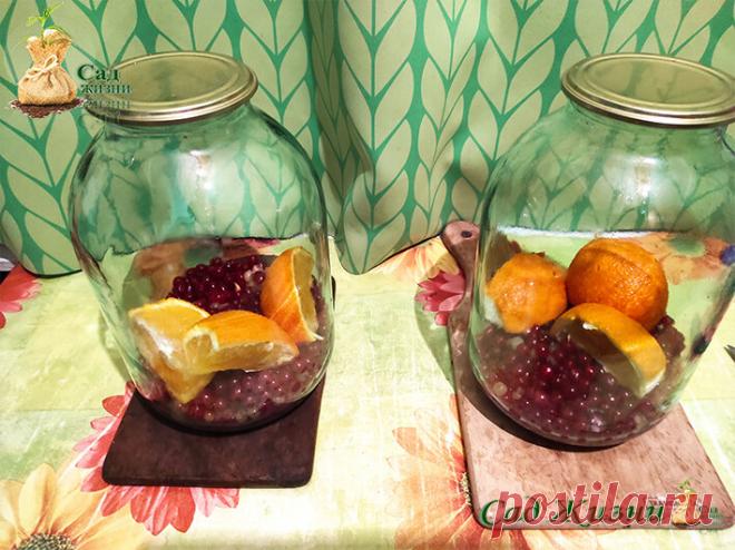 Что надо добавить, чтобы компот из красной (белой) смородины стал вкусным. Делюсь рецептом такого вкусного компота | Сад Жизни | Яндекс Дзен