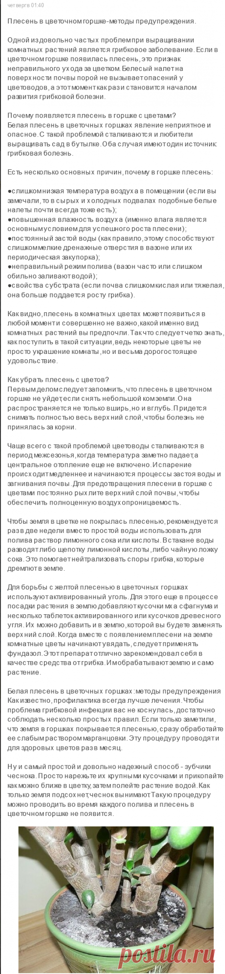 Мой Мир@Mail.Ru