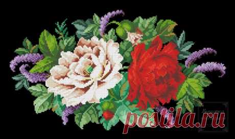 (6) Gallery.ru / Королевские пионы - Королевские пионы - larisa-bnw