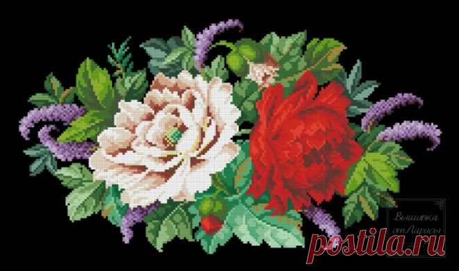 (6) Gallery.ru / Королевские пионы - Королевские пионы - larisa-bnw