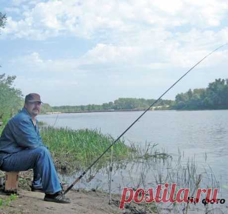 Карась пошел!