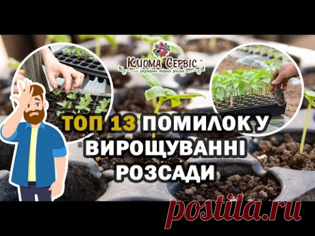 📢 ТОП 13 поширений помилок у вирощуванні розсади та насіння / Кліома Сервіс