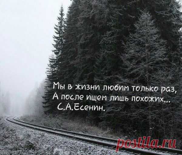 Цитаты, умные мысли / Pinme