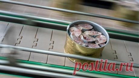 Диетолог рассказала о пользе рыбных консервов Врач-диетолог Федерального исследовательского центра питания, биотехнологии и безопасности пищи Татьяна Солнцева рассказала о пользе рыбных консервов. По ее словам, при правильном употреблении данный продукт является источником незаменимых жирных кислот, витаминов и микроэлементов.