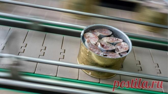 Диетолог рассказала о пользе рыбных консервов Врач-диетолог Федерального исследовательского центра питания, биотехнологии и безопасности пищи Татьяна Солнцева рассказала о пользе рыбных консервов. По ее словам, при правильном употреблении данный продукт является источником незаменимых жирных кислот, витаминов и микроэлементов.