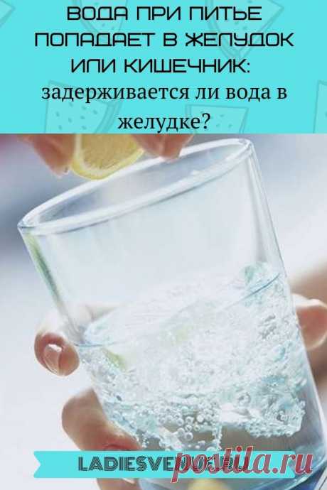 Вода при питье попадает в желудок или кишечник: задерживается ли вода в желудке - Ladiesvenue.ru Вода при питье попадает в желудок или кишечник: задерживается ли вода в желудке? Многие знают, что нужно выпивать не менее «8 стаканов в день», но если вы чувствуете себя обезвоженным, сколько времени действительно понадобится для того, чтобы вода из желудка попала в кишечник, а из него — в кровоток? Ответ сильно варьируется в зависимости от …