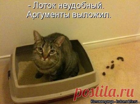 Денис Романов - Москва, Россия, 30 лет на Мой Мир@Mail.ru