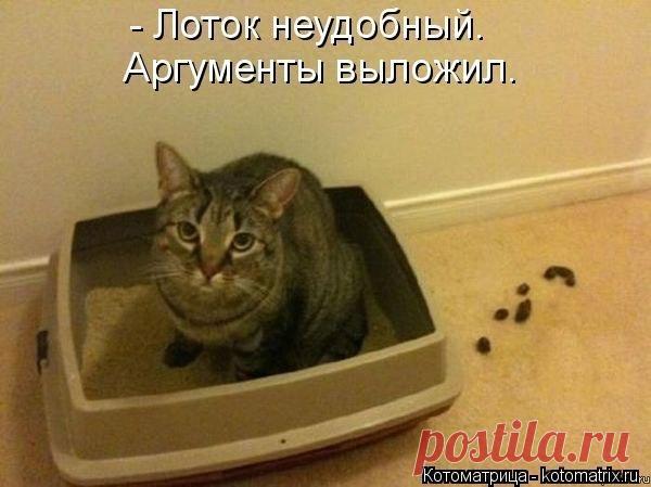 Денис Романов - Москва, Россия, 30 лет на Мой Мир@Mail.ru