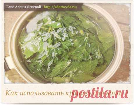 Крапива для волос - способы эффективного применения 