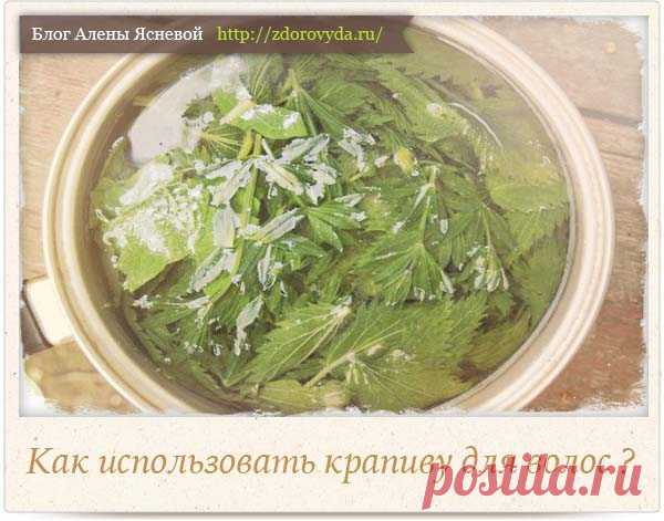 Крапива для волос - способы эффективного применения 