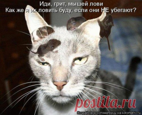 Позитив в картинках и не только