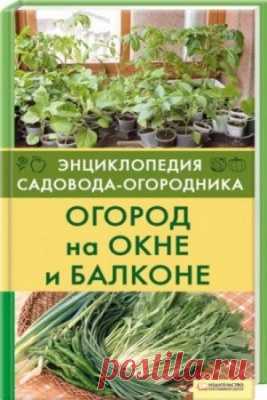 Огород на окне и балконе.