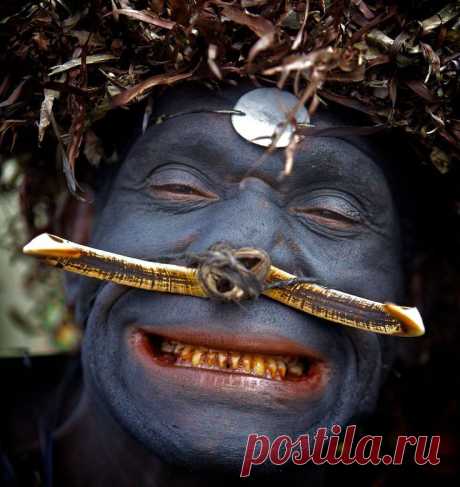 Горока, Восточное Нагорье, Папуа Новая Гвинея.(Несомненный лидер на эти выходные - красауэлла.)